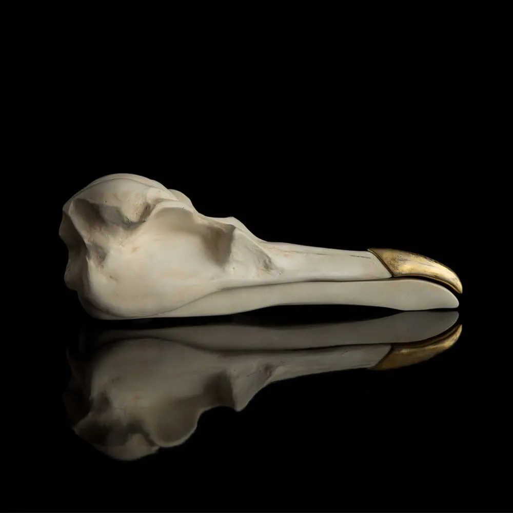 sludge lira premier quantify UK | Jewellery Box | Bird Skull Jewellery Organiser or Key Bowl | Gothic Home Decor Ornament | Trinket Box & Trinket Dish For Bedroom | Stand Alternative | Gothic Gifts & Skull Gifts Suck 