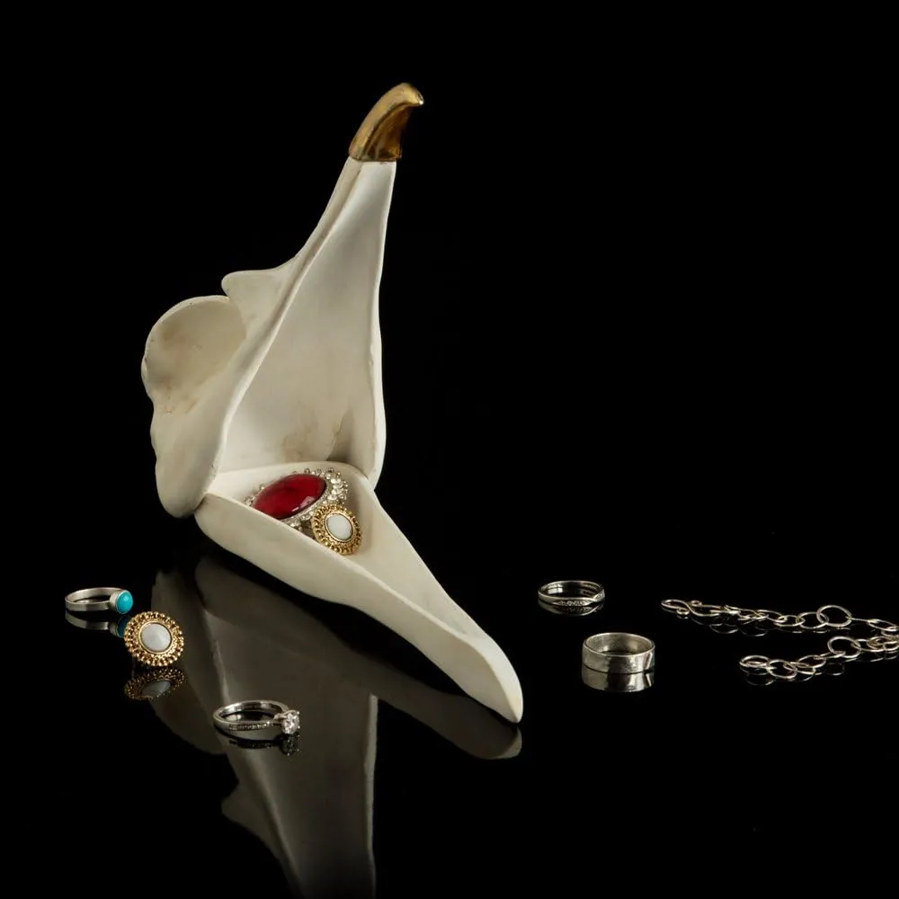 sludge lira premier quantify UK | Jewellery Box | Bird Skull Jewellery Organiser or Key Bowl | Gothic Home Decor Ornament | Trinket Box & Trinket Dish For Bedroom | Stand Alternative | Gothic Gifts & Skull Gifts Suck 