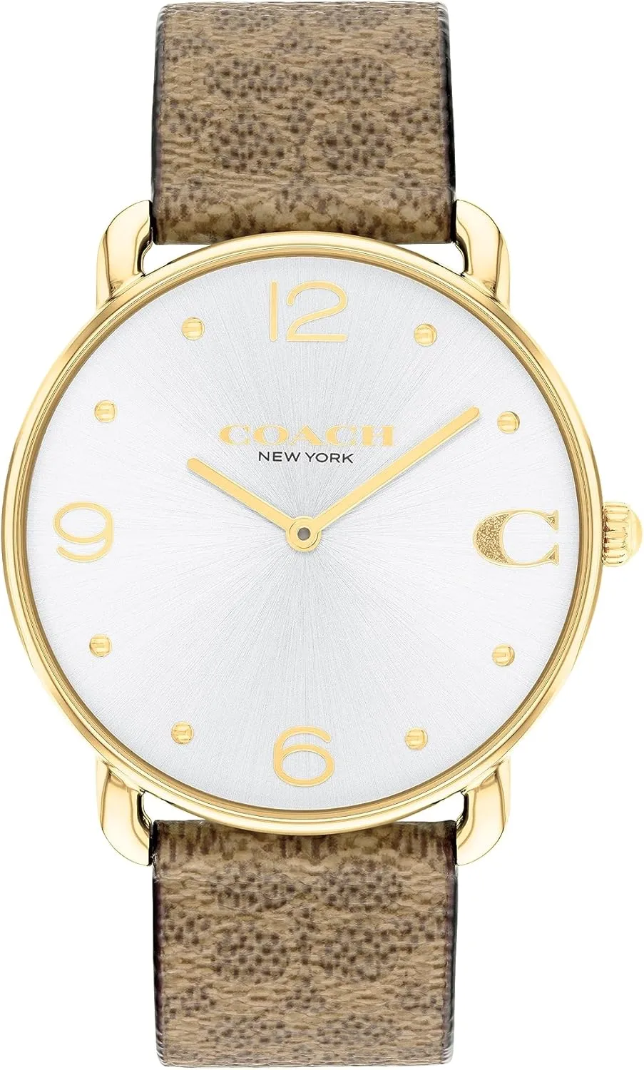 Wear | Water-Resistant | 36 mm Coach Elliot Women's Watch | A Blend of Elegance and Sophistication | Premium Quality predominance pant deteriorates overcome Timepiece for Daily 
